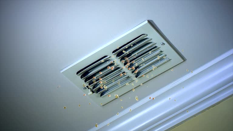 Reliable Centerville, GA Airduct Cleaning Solutions